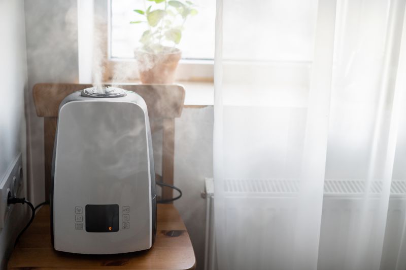 Type of Humidifier